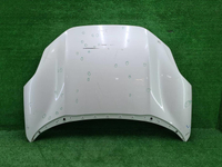 Капот Zeekr 001 (2021-н.в.)