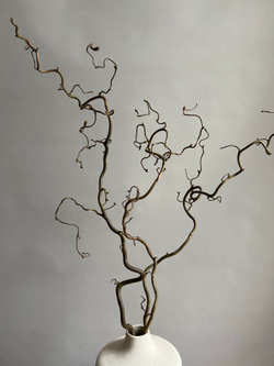 Корилус 100 см