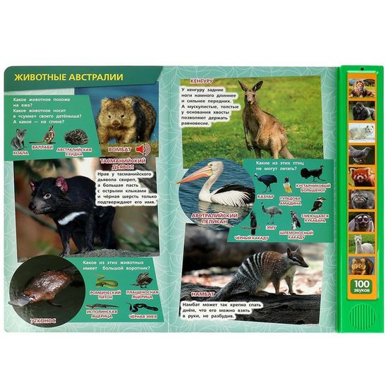100 голосов животных (10 зв.кнопок, 100 звуков) 233х302мм 10 стр Умка