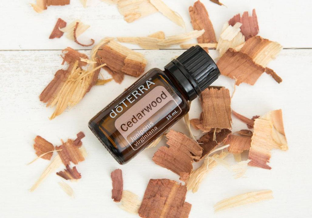 Эфирное масло dōTERRA Кедр, Cedarwood, 15 мл (PROMO)
