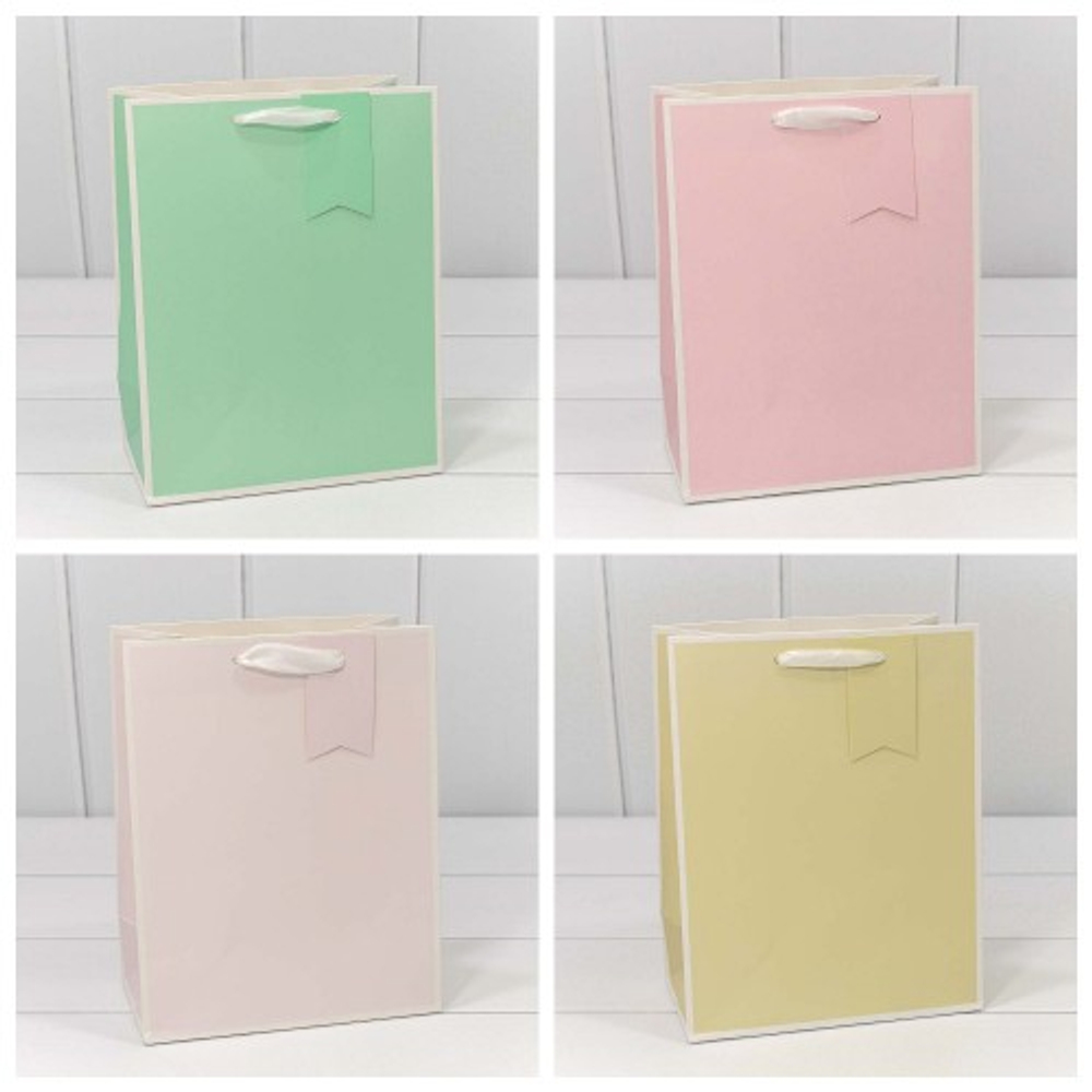 Пакет подарочный 18х23х10см Премиум однотонный в рамке (Микс)