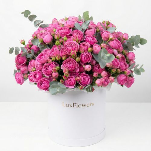 «Больше, чем у подруги»