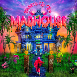 Tones And I / Welcome To The Madhouse (CD)