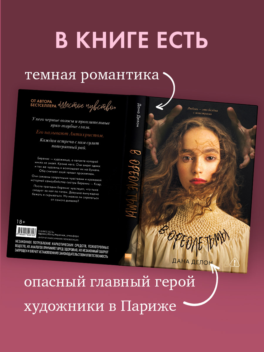 Комплект книг "В ореоле тьмы", "Артур, Луи и Адель"