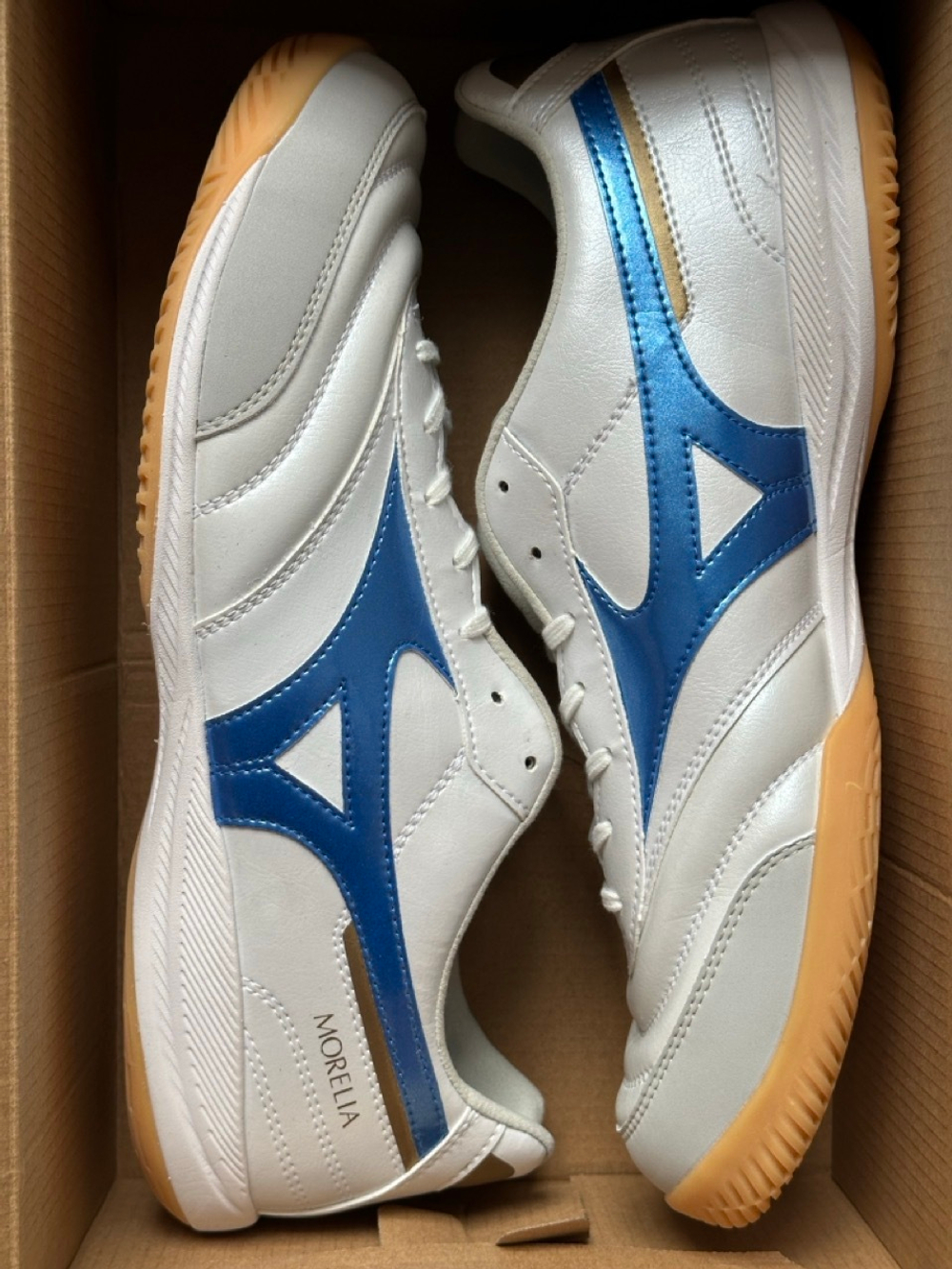 Футзалки Mizuno Morelia Sala Pro IN - белый