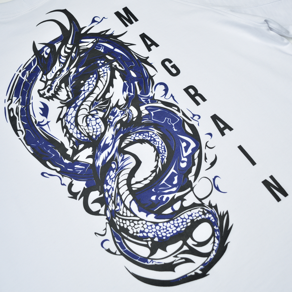 Футболка Реглан DRAGON