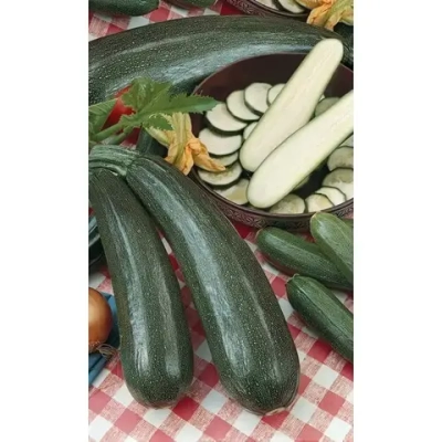 Семена Кабачок Уголек - цуккини (Марс) 2гр Б/П