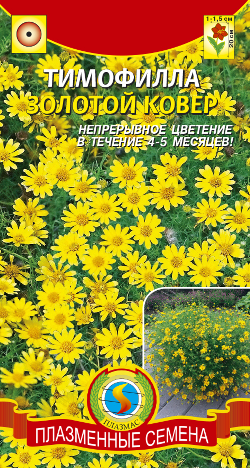 Тимофилла Золотой ковер 0,02 гр (ПлазмаС)