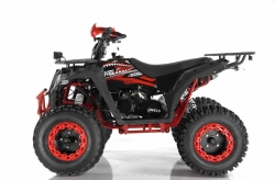 Квадроцикл Wels Evo X2 200cc