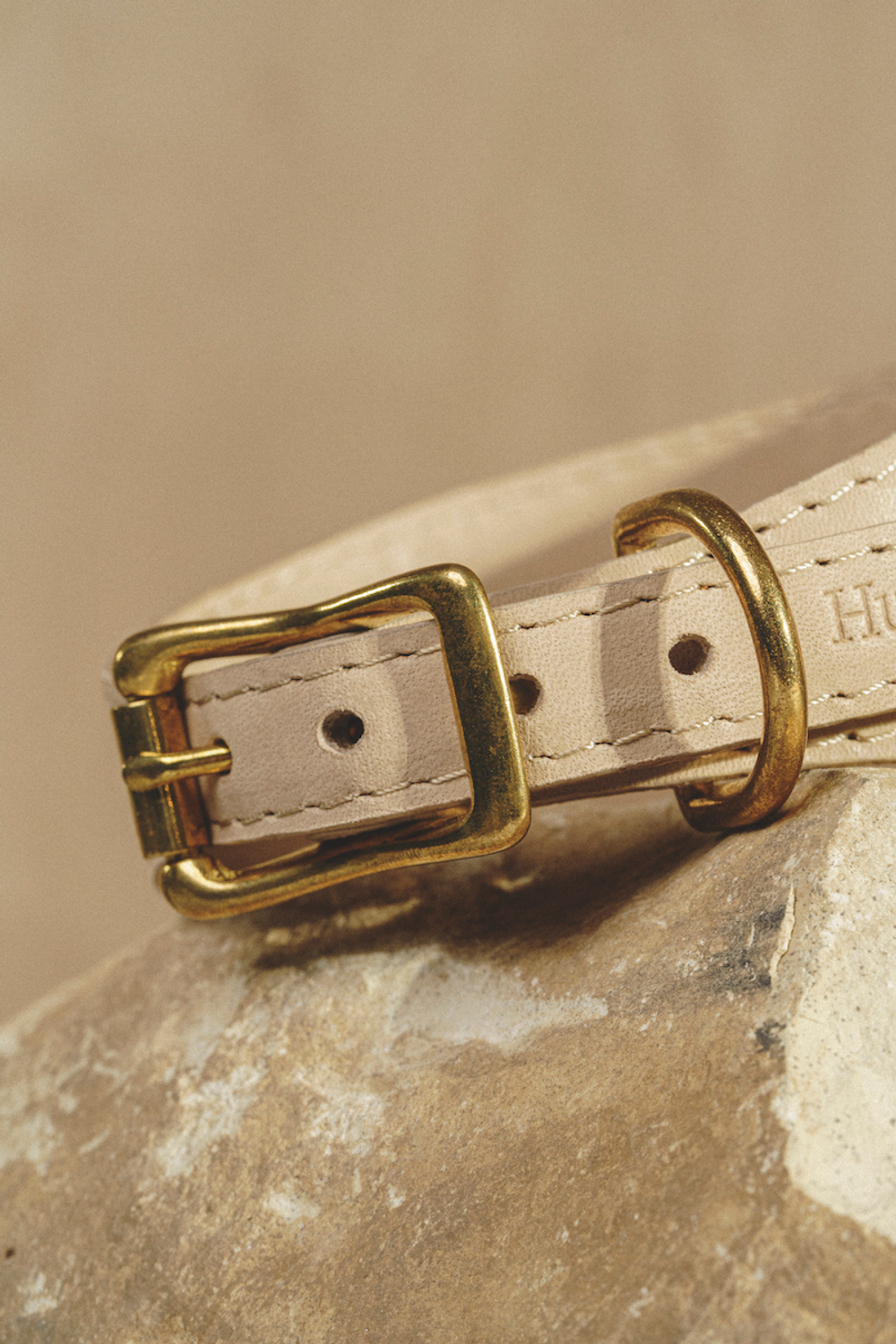 Ошейник "Пони-Селедка" Бежевый