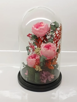 натуральные пионы в стекле