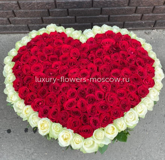 225 роз сердце с белым контуром