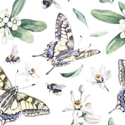 Элегантные акварельные цветы лимона, бабочки и шмели на белом фоне