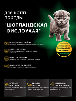 Корм сухой для котят породы Шотландская вислоухая, с ягненком, 400 гр, QUATTRO