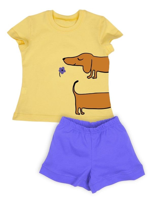 Комплект 5909