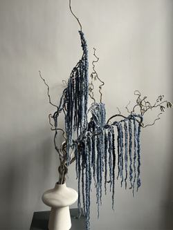 Амарант стабилизированный серый