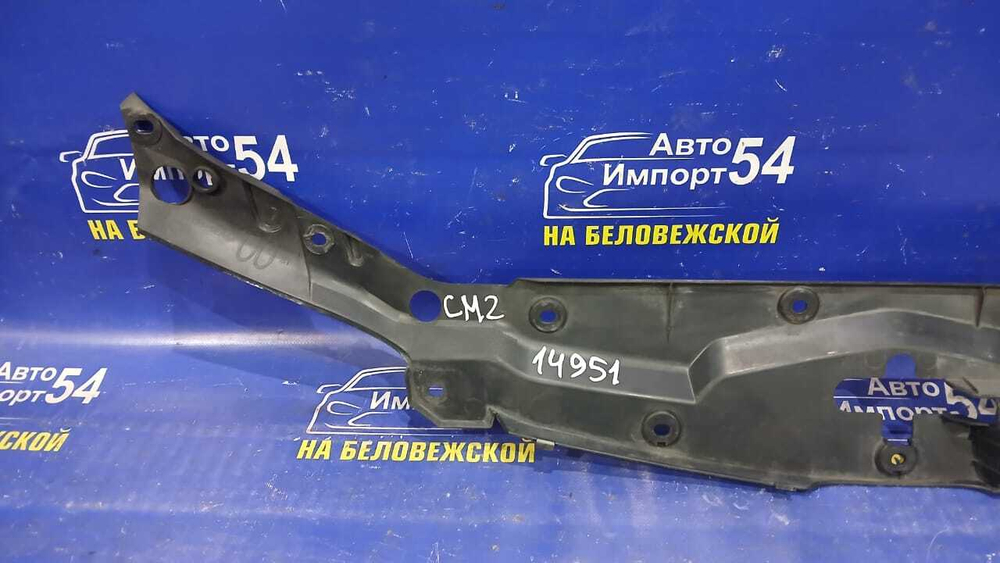 Накладка на рамку радиатора Honda ACCORD 2002-2008