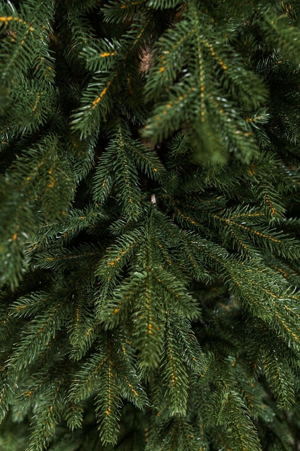 Искусственная ель «Берген» (Литая хвоя) 180 см / 1.8 м