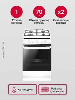 Газовая плита Hansa FCGW51050