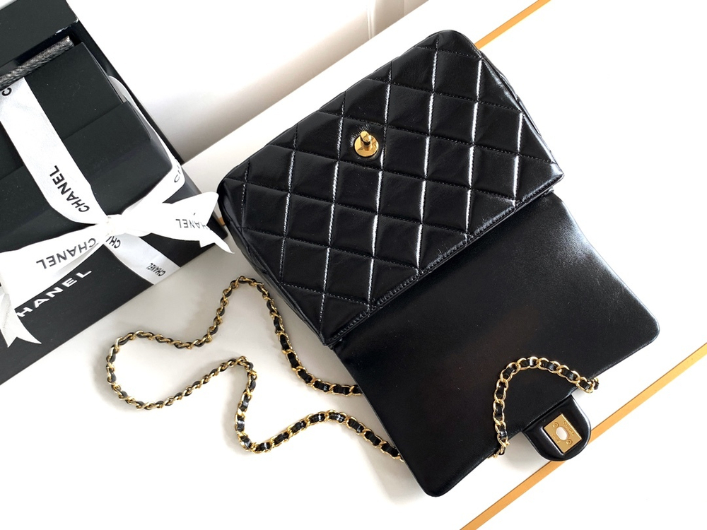 Chanel Bag 25 cm