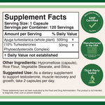 Double Wood Supplements - Turkesterone - 120 x 500 mg capsules