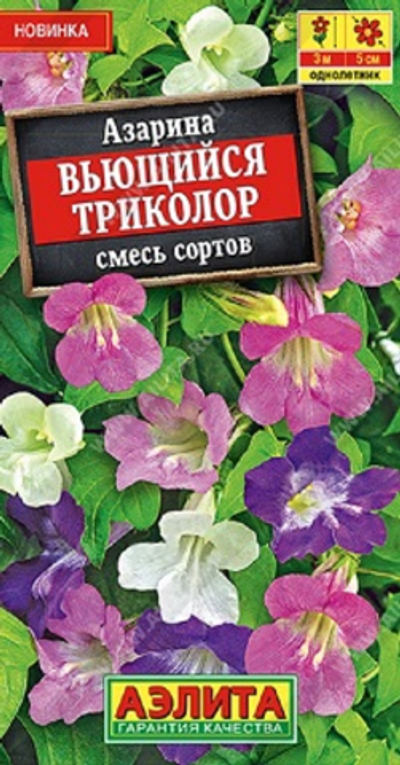 Азарина Вьющийся триколор, смесь сортов