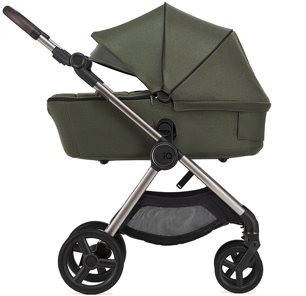 Детская коляска Anex IQ Premium 2 в 1 richi