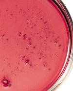 Шампунь для объема с амлой Khadi Amla Volume 200 мл / экспресс доставка 2-5 дней