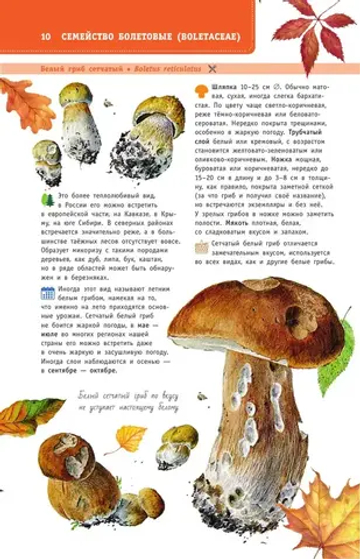 Грибы России. Определитель