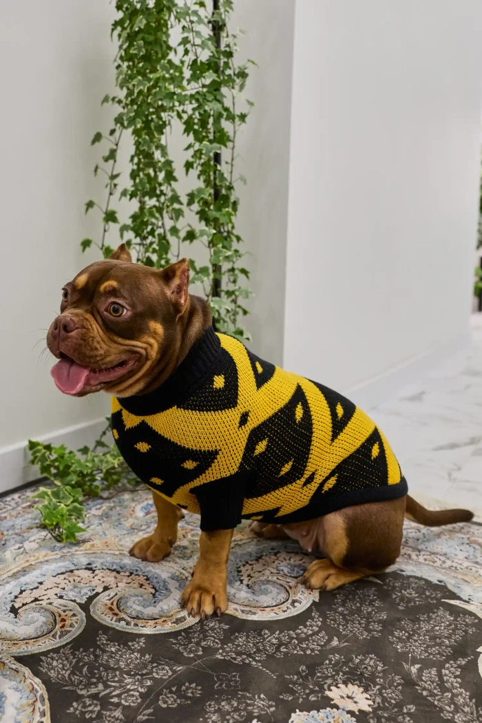 Для собачки