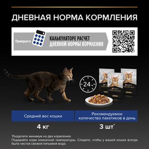 Пауч Pro Plan Indoor для кошек, при домашнем образе жизни желе с индейкой