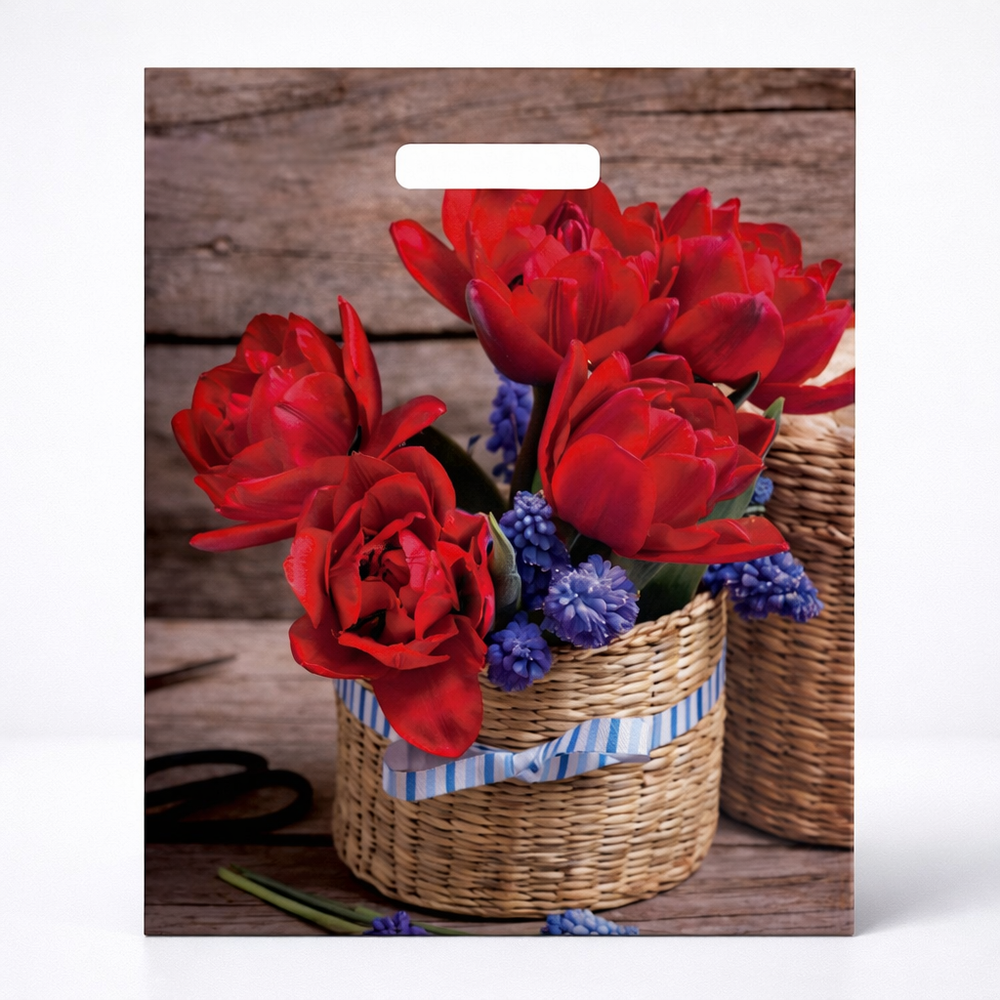 Пакет с вырубной ручкой Элисон (31х41)