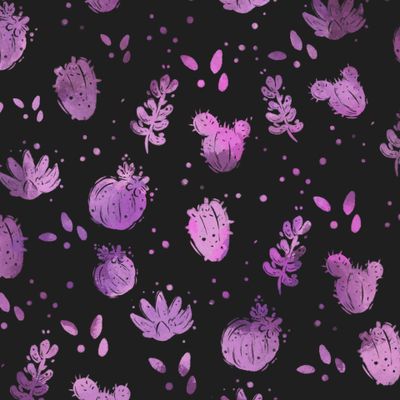 Розовые кактусы на черном фоне