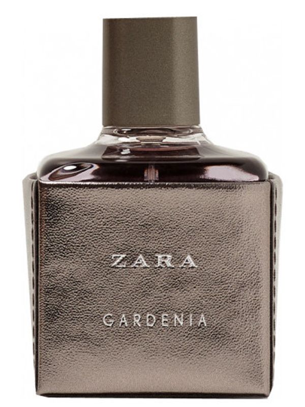Zara Gardenia 2017