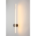 Настенный светодиодный светильник Aployt Beatris APL.056.11.09