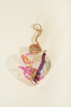 Сердце Заботливый