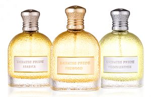 Emirates Pride Perfumes Hidden Leather