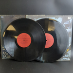 2 LP ДДТ и Александр Башлачев. Русский рок. 2 Виниловые пластинки 12 дюймов. Мелодия СССР.