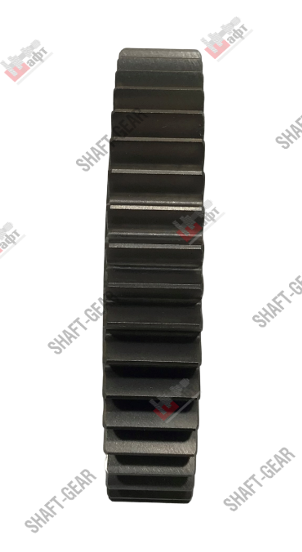 6DS180T-1701114 - Шестерня 4 передачи вторичного вала на КПП