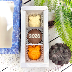 Шоколадный набор "С Новым годом 2026": 3 конфеты ручной работы