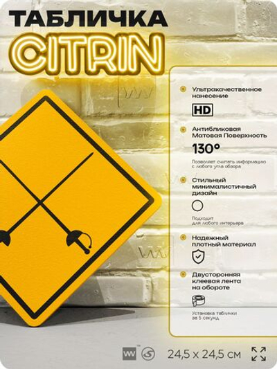 Табличка декоративная "Фехтование" на дверь и стену, спортивная, информационная, декоративный знак, 24,5х24,5 см, пластиковая, Айдентика Технолоджи