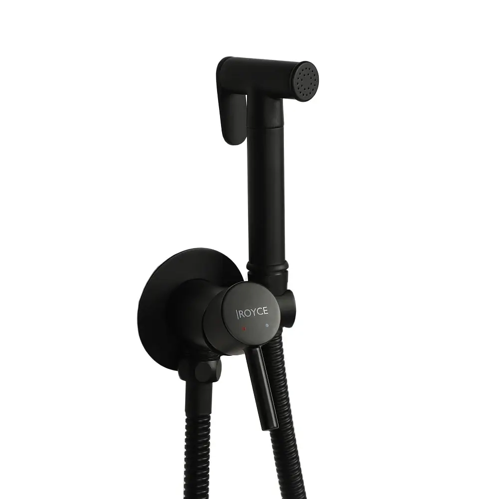 Гигиенический душ Royce Smart встраиваемый (RCS-113001BL)