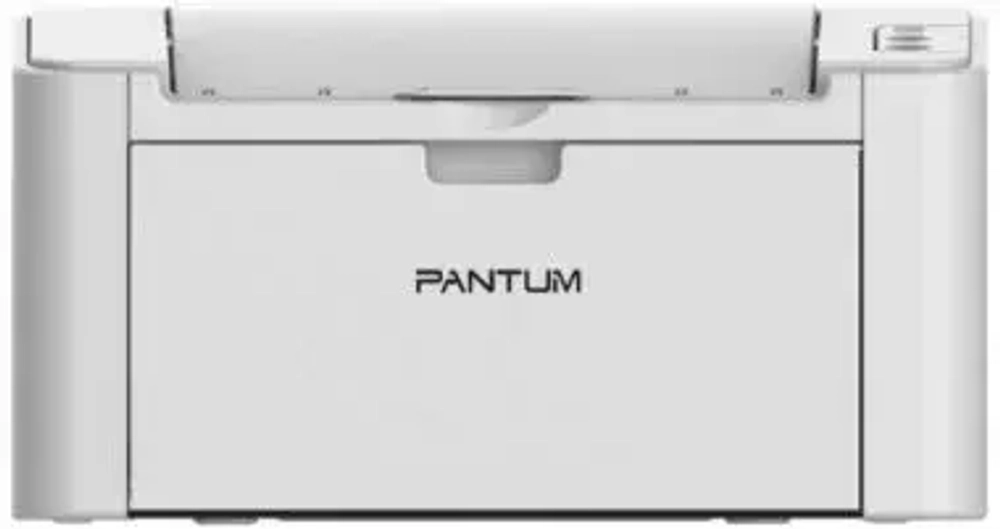 Принтер Pantum P2200 лазерный