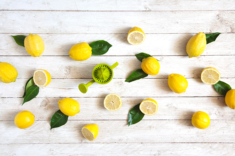 Соковыжималка для лимонов lemoniere