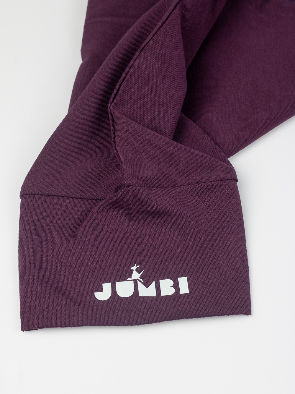 Лонгслив (Баклажан) Basics