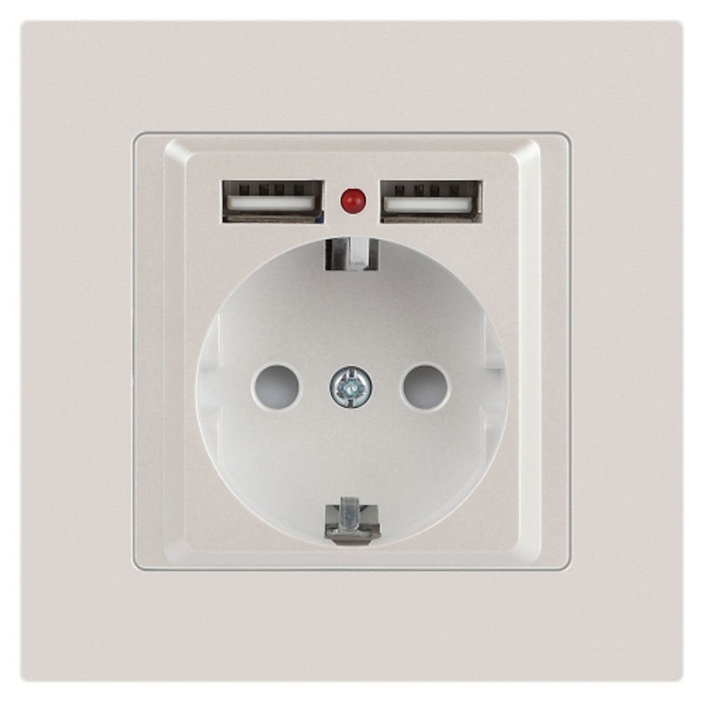 Розетка Intro Accent 6-410-06 с заземлением 2P+E Schuko со шторками 16А-250В + 2хUSB IP20 СУ перламутр