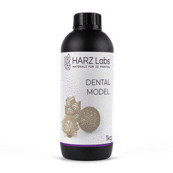 Dental Model Beige