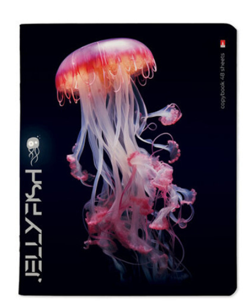 Тетрадь 48 л. БРУНО ВИСКОНТИ Медузы фентези (7-48-1331)