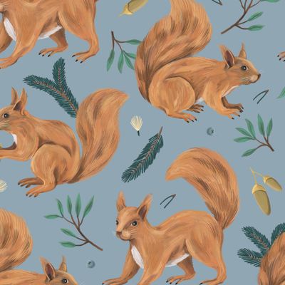 Белки на голубом фоне