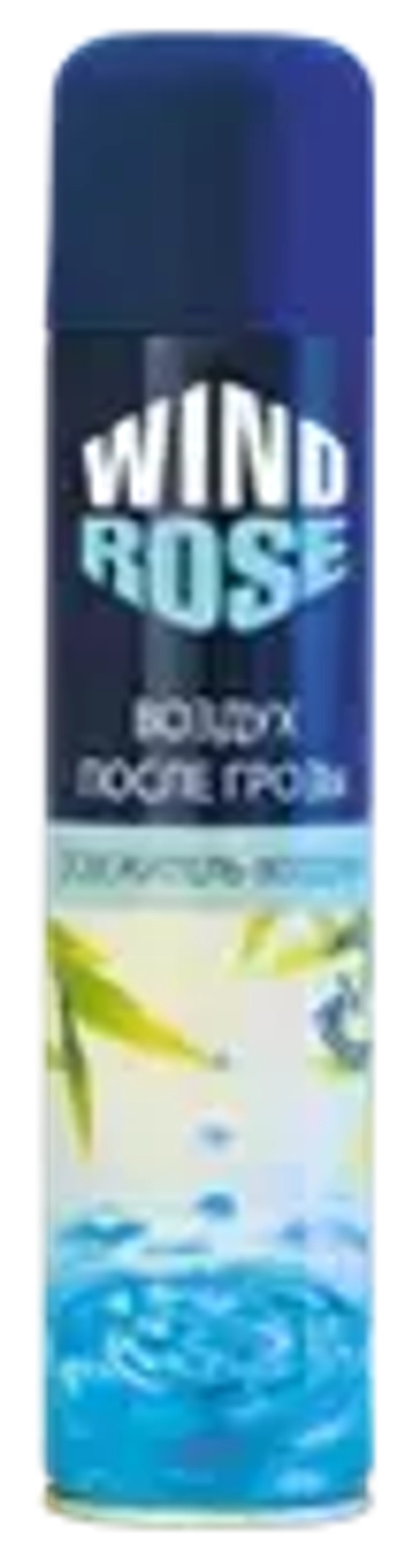 Освежитель воздуха WIND ROSE Воздух после грозы 300мл